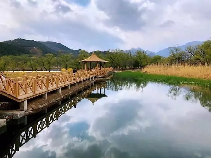 牛口峪湿地公园