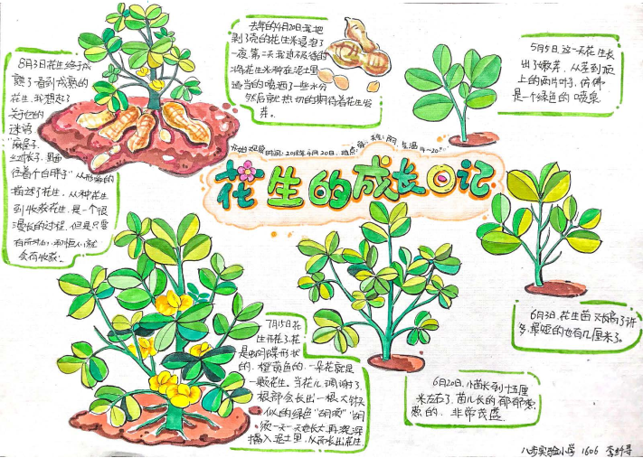 2019优秀生态环境宣传产品90美丽中国我是行动者2019
