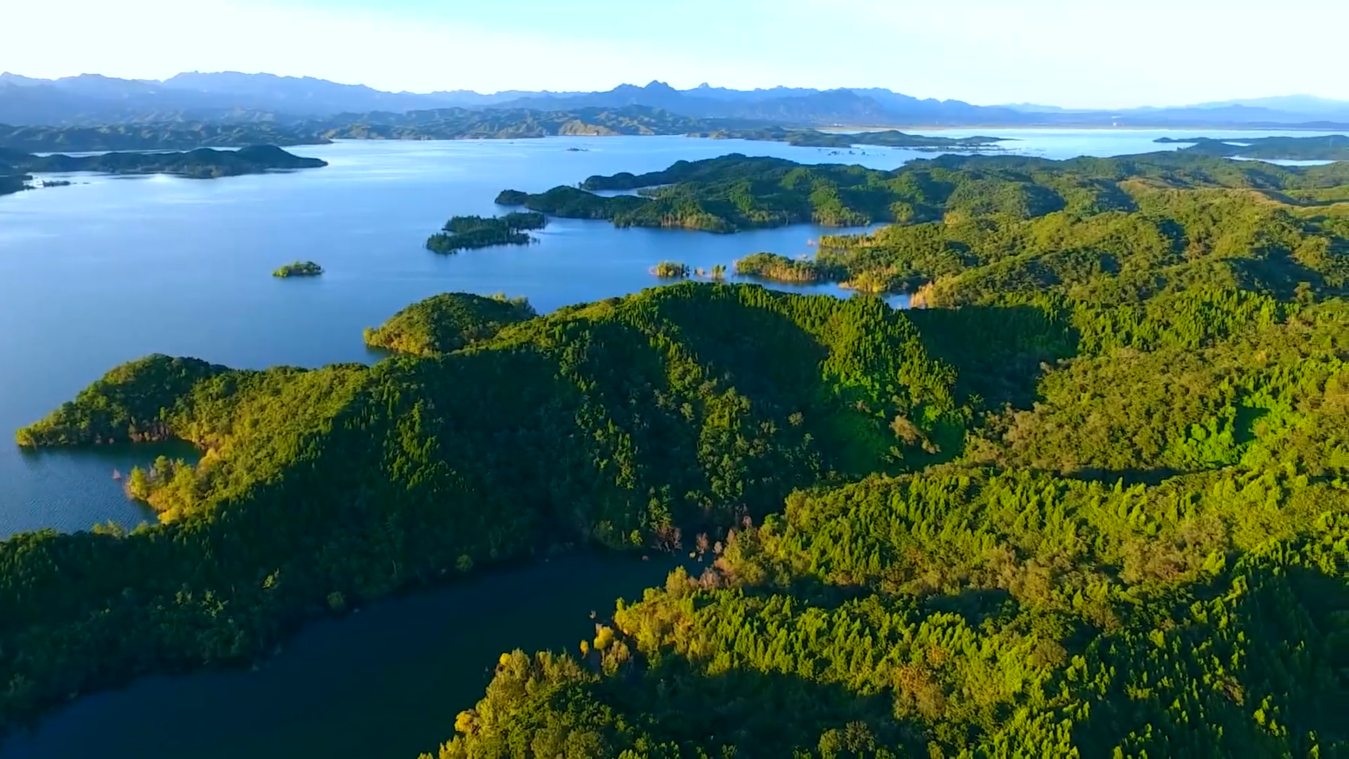 保护生物多样性主题宣传片大联展 | 生机盎然的北京湾