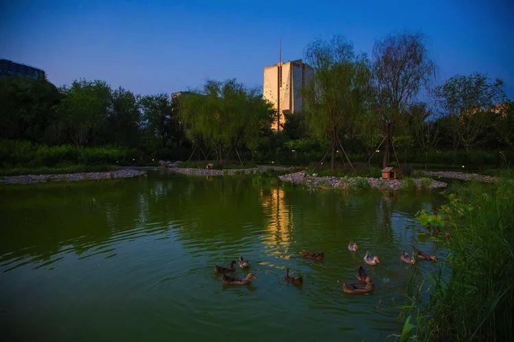蓝调北京东四环百子湾公园开园居民家门口休闲赏美景