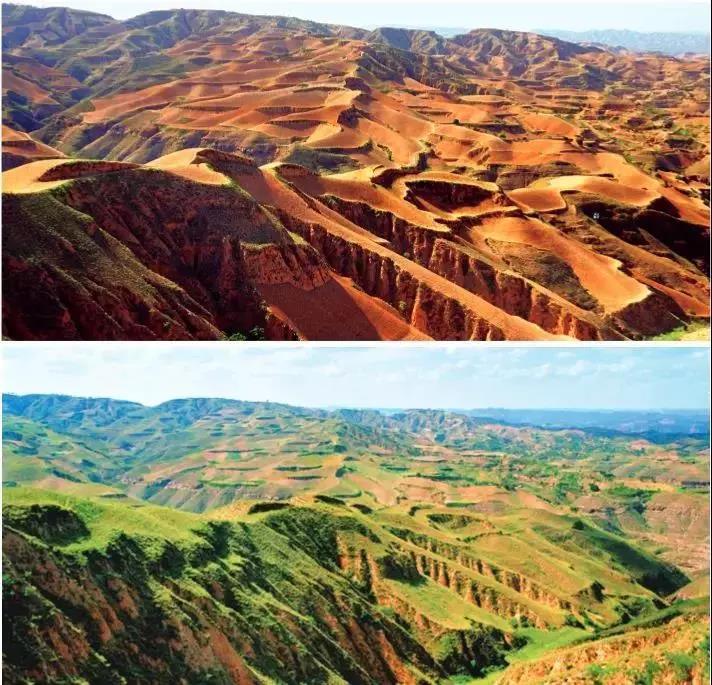 美丽中国先锋榜——陕西延安市在退耕还林和治沟造地中实现多赢