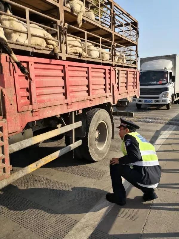 黄警首日北京市各区各部门严格落实应急措施