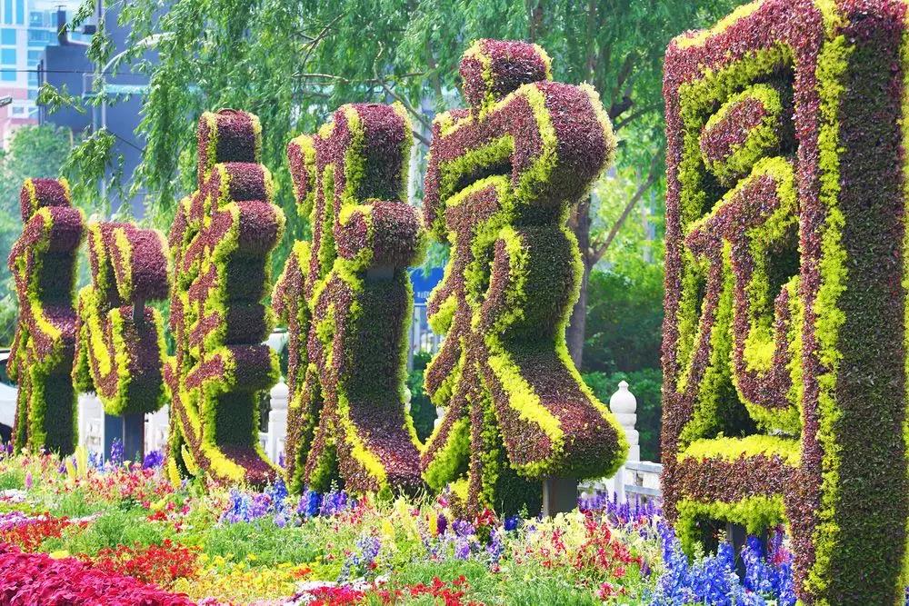 蓝调北京 | 绿雕扮靓草桥村 古老花乡今更美