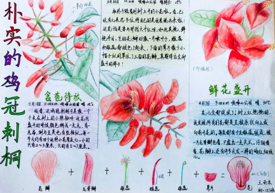 2019优秀生态环境宣传产品|美丽中国我是行动者2019